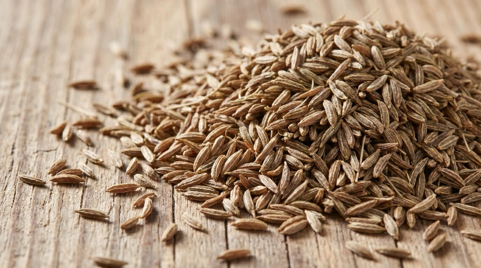 Proceso de producción de Don Renardo Gin en destilería profesional.